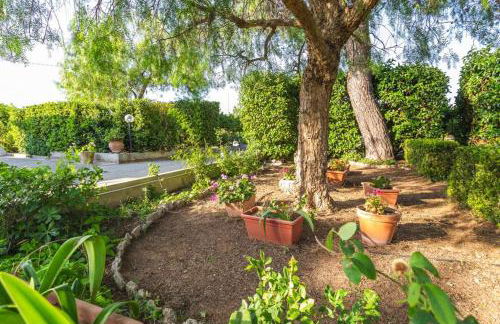 Midori-an 緑庵 - The Garden - Foto 27