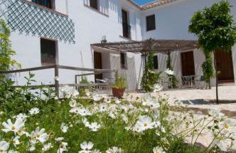 Molino La Ratonera - Foto 28