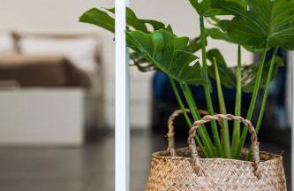 *Love'n fly apartament * Airport- Ducati - Foto 19