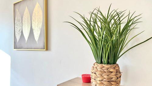 La havane, paisible gîte à 5 min du Futuroscope - Foto 5