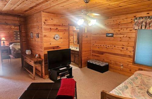 Peaceful Mountain Cabin with Private Lake and Game Room Near Long Barn, California - Foto 8