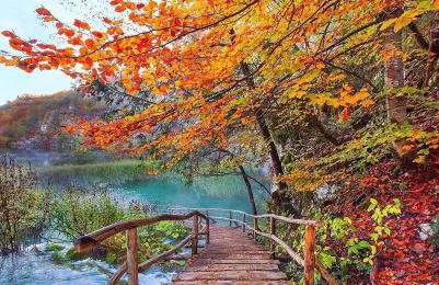 Studio Ivona - Foto 48