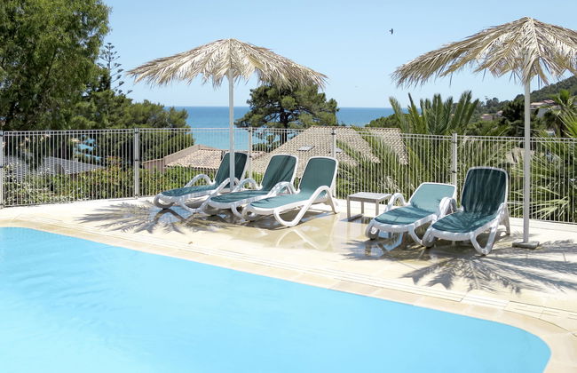 Stella di Mare - Foto 1