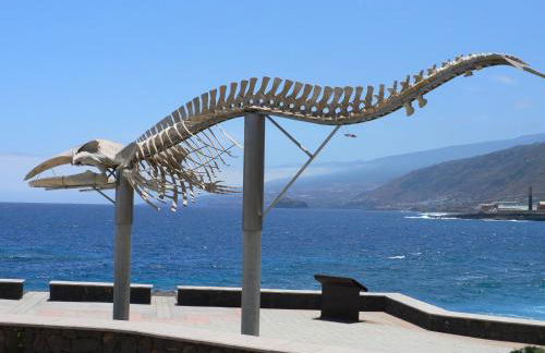 Almar Apartment - Foto 11