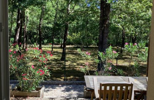 La Morandiere - Foto 47