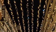 Rosa de la Sal - Foto 2