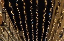 Rosa de la Sal - Foto 2