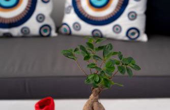 1812 Caves 'n Mansion - Foto 80