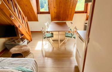 Appartement Chalet à 1400m - Station du Mourtis - Foto 1