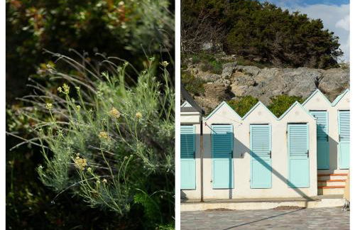 La Casa di Marco, holidays, sea and nature - Foto 37