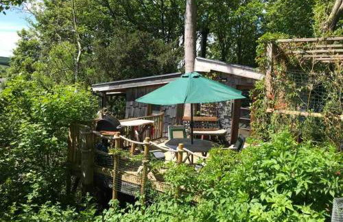 Tree-Tops Treehouse Eco Retreat - Photo 2