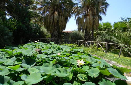 Agriturismo Gianferrante - Foto 30