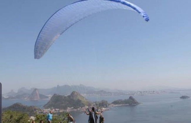 Andorinhas - Foto 30