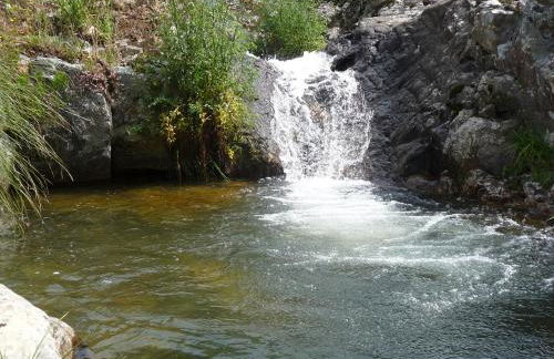 A Velha Casa - Foto 12