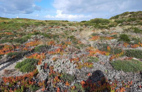 Villa Casa Dina - Foto 53