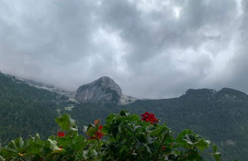 Casa Bambi - Foto 11