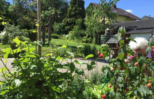 Ferienweingut Willems - Foto 14