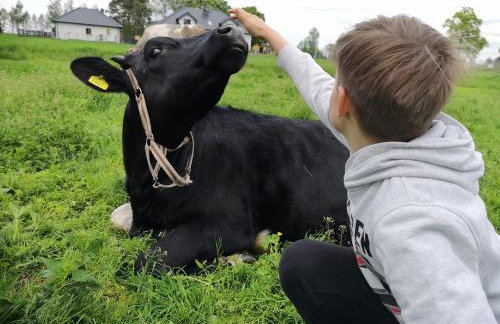 Agroturystyka Pod Brzozami - Foto 1