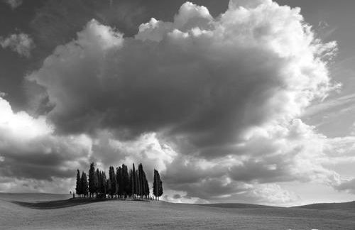 Agriturismo Poggio Tobruk - Foto 78