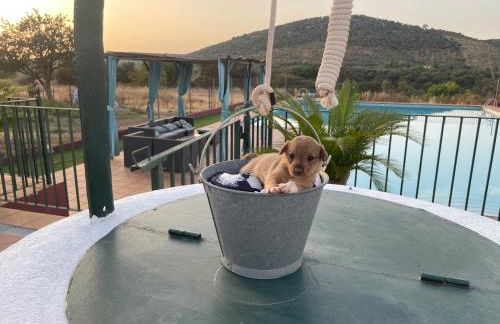 Cortijo Huerta Galindo - Foto 16