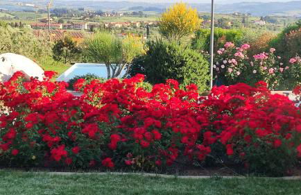 Le Macine di San Salvadore - Foto 1