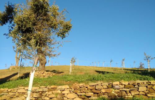 PODERE TORRICELLE 69B Pancole Gr, seaview infinity pool, jacuzzi, sauna, exclusive villa with 2 bedrooms for 4 - If you total 5 or 6 people there is an independent suite in main villa with private ensuite bathroom, kitchenette and garden dining area - Foto 68