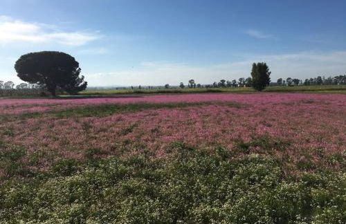 Villa Marina di Pisticci - Matera - Foto 17