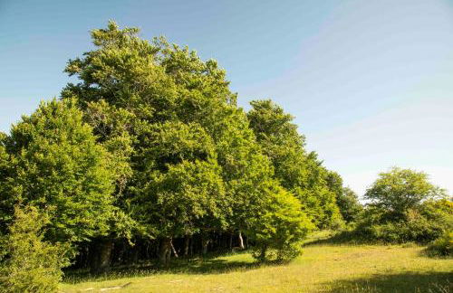 Casa Rural El Huerto de la Fragua - Foto 16