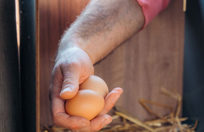 Milea Agritourism - Foto 59