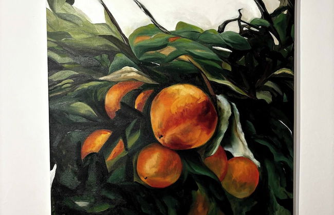 Appartamento Appia Castel Viscardo - Foto 16