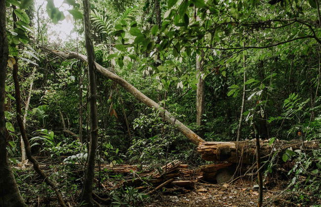 Rafting in the Lacanjá River - Foto 8