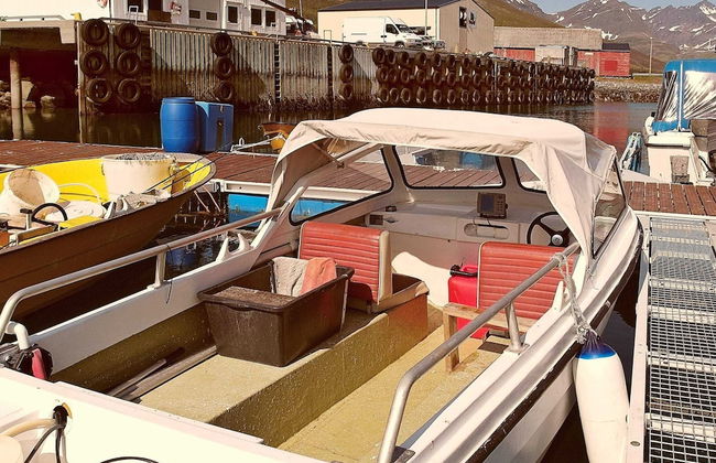 Holiday Home in Arnøyhamn - Foto 30