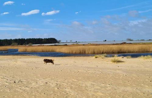 Nina's Cottage - Southwold - Foto 27