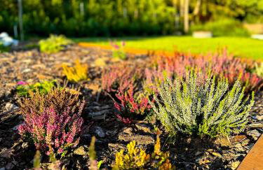 Szumiące Trawy w Borach Tucholskich-Nowa Sauna - Foto 49