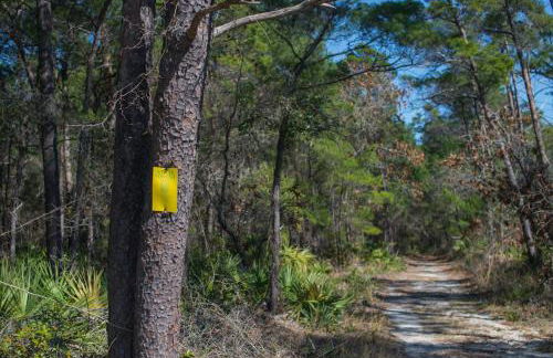 Cute Little Cottage! Perfect Getaway! 2 Pools! Sleeps 4! - Foto 19