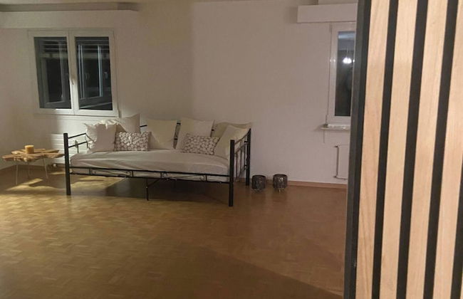 In the Green but in 20 Minutes in Basel - Foto 8