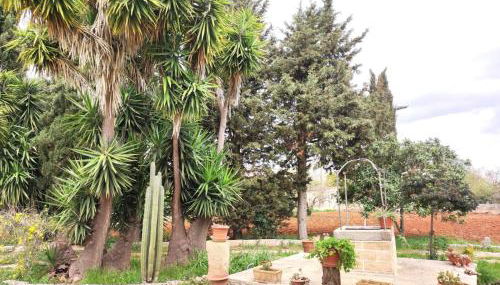 Dimora di nonna Nina - Foto 3