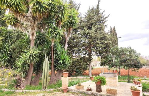 Dimora di nonna Nina - Foto 3