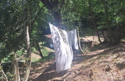 Serenità nella Natura - Foto 20