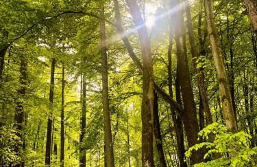 FEWO_ORTSZEIT - Foto 29