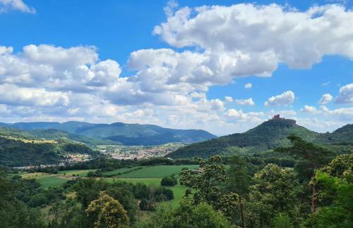 Ferienwohnung Appartement Bad Bergzabern mit Schwimmbad und Sauna - Foto 20