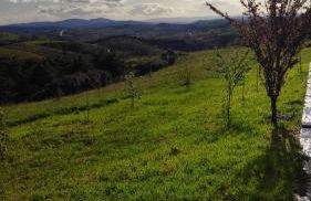 O Recanto do Sobreiro - Foto 8