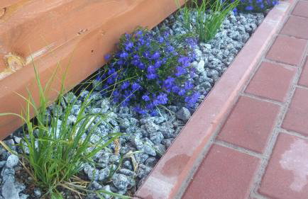 Diament Rogowo - Foto 21