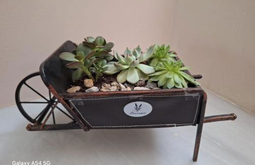 Extraordinaria Villa con piscina y chimenea - Photo 35