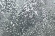 ΟΡΕΙΝΟ ΟΝΕΙΡΟ - Foto 71