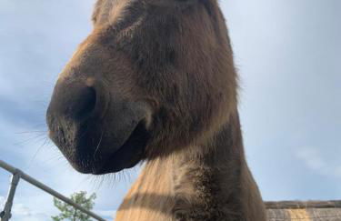 Agriturismo Nonno Mario - Foto 18