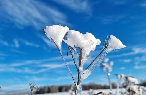 Ferienwohnung Kreuzberg - Foto 61