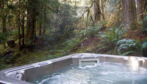 Snowline Hillside Chalet - Foto 4