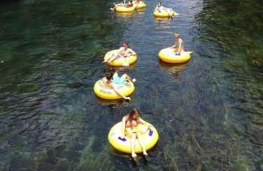 Rooster House Countryside Pecan Farm 14ac SanMarcos - Foto 61