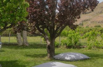 Heliotopos - Photo 39